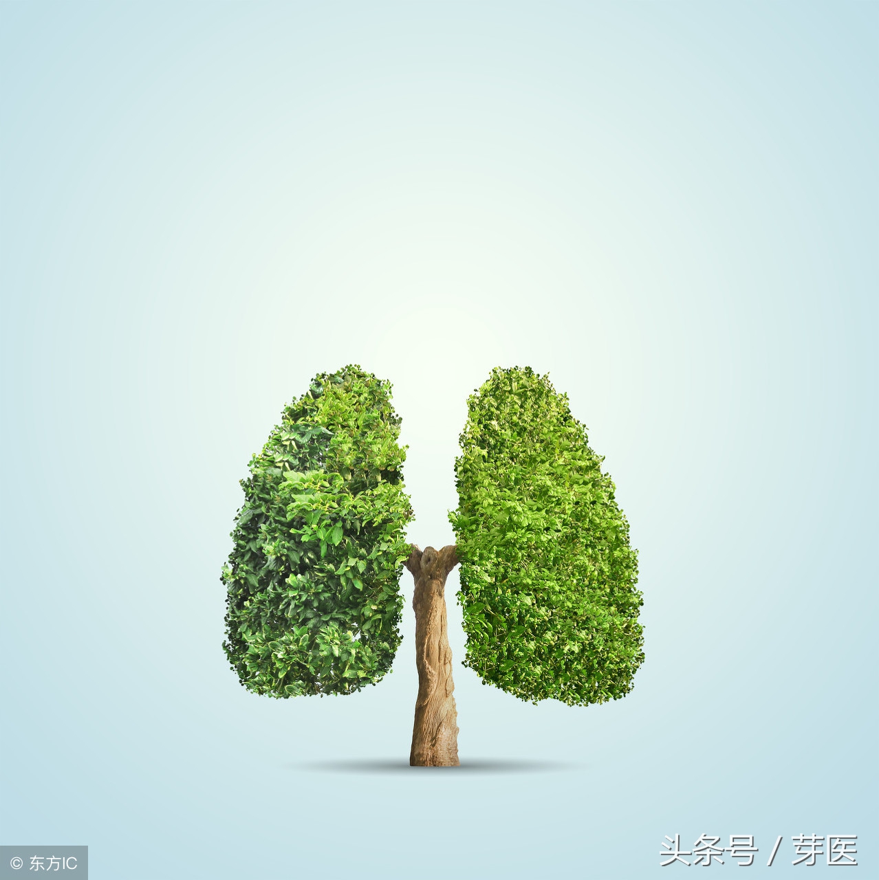 黄帝内经讲解咳嗽全集视频,通读黄帝内经之五十七