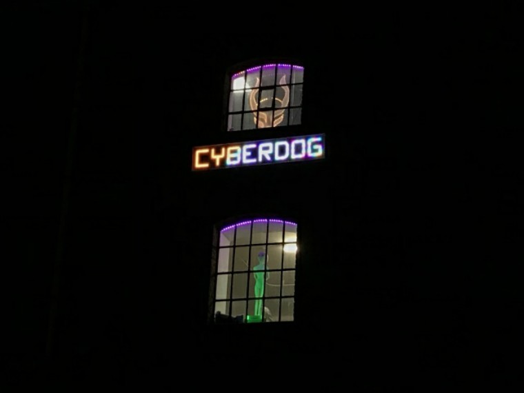 赛博朋克为什么伤害低,虚假的赛博朋克和真正的赛博朋克