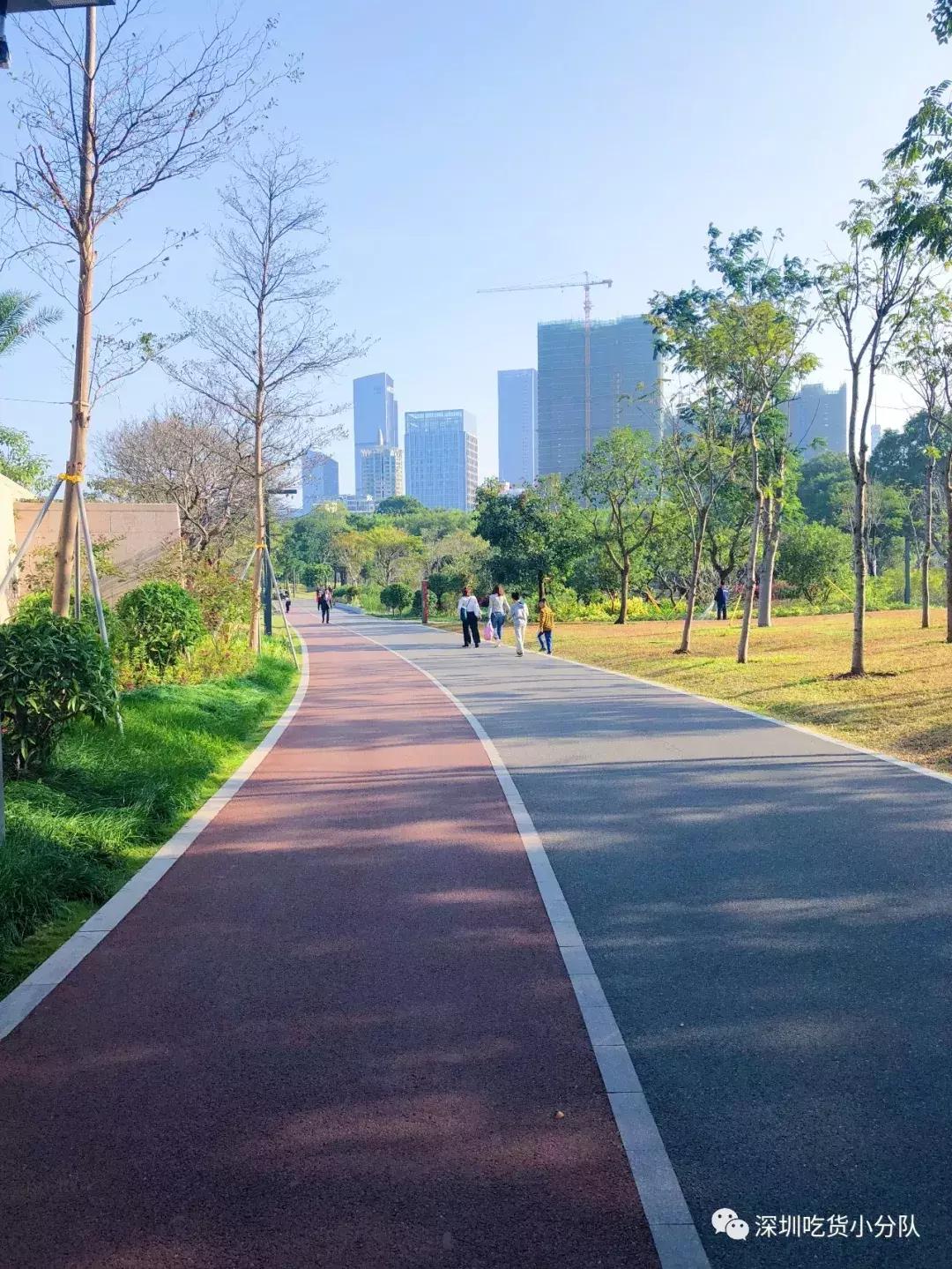 深圳福田结婚登记处环境,深圳最美结婚登记处