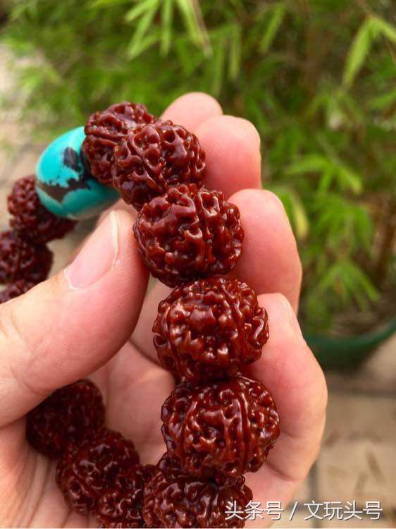 金刚菩提怎么快速包浆上色,大汗手玩金刚菩提多久能上色