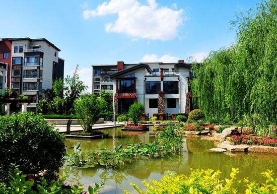 淄博本地实力房企,淄博开发商拿地