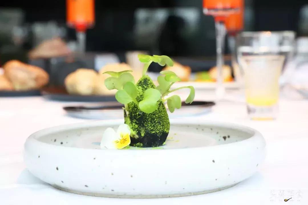 在艺术馆里吃饭是一种怎样的体验,在美术馆里面吃料理