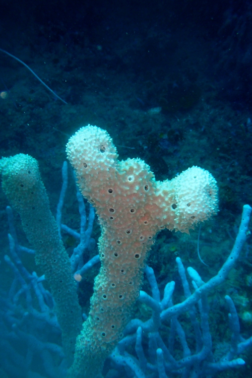 菲律宾科隆群岛游,菲律宾巴拉望科隆群岛自由行