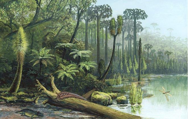 为什么石炭纪那么大,石炭纪煤炭