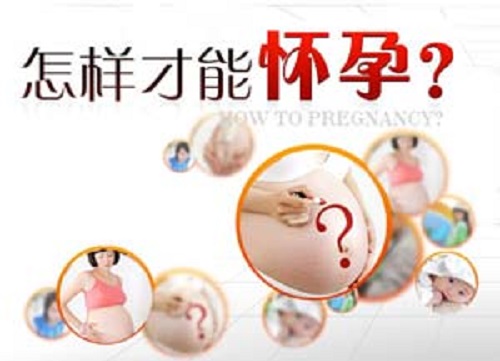 胎儿在母体中的日日夜夜（一）