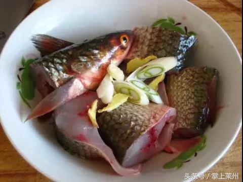 莱州三山岛有什么鱼,莱州三山岛渔港的鱼