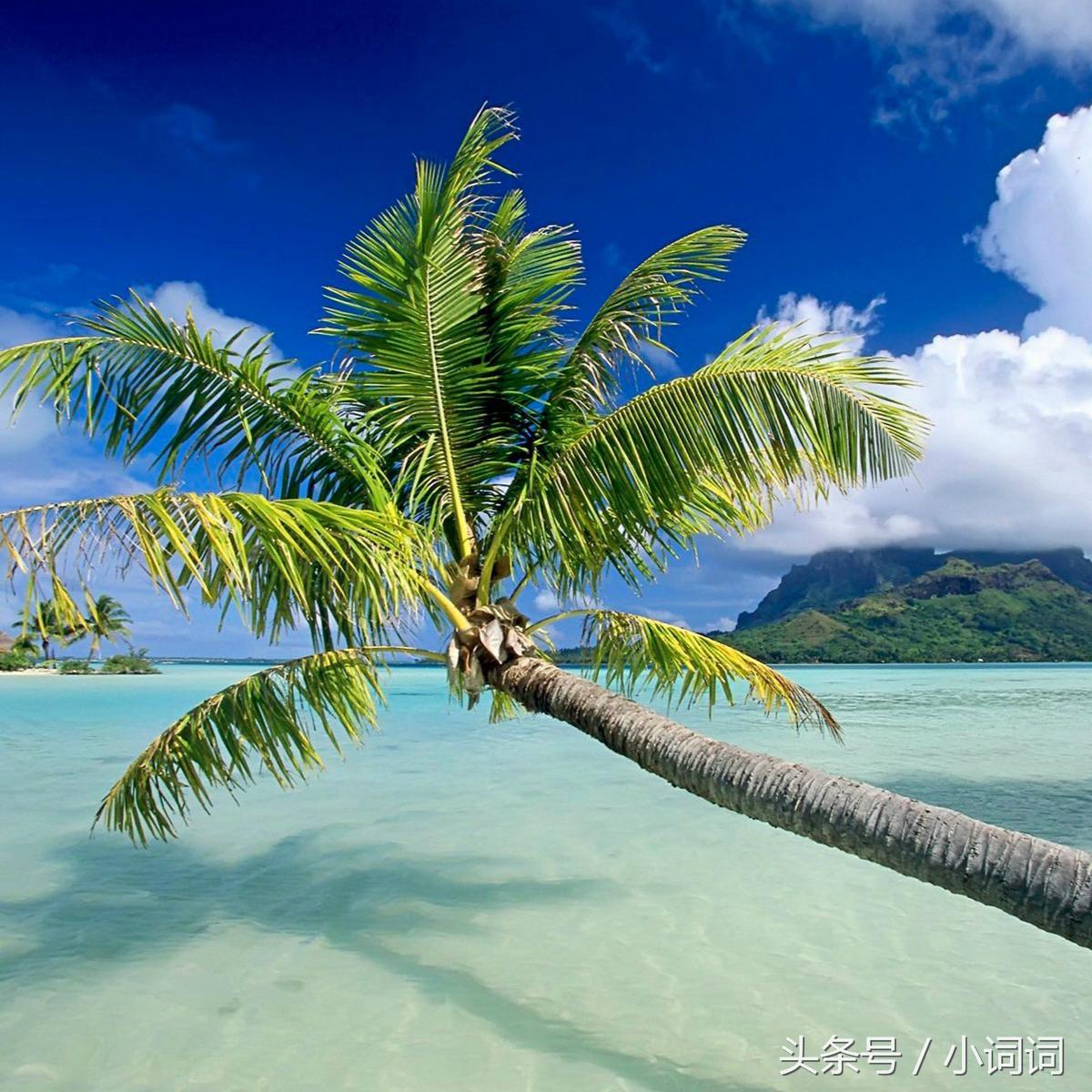 明星的婚礼都在哪里举行,明星中最浪漫的婚礼