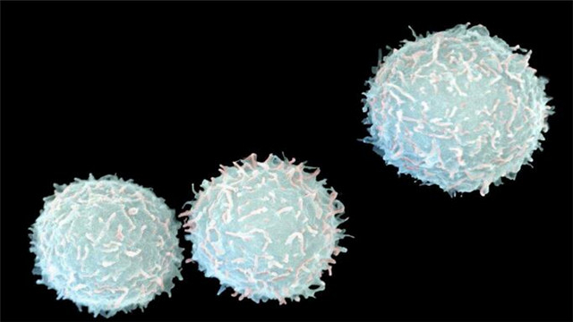 小康说中药,小康说药