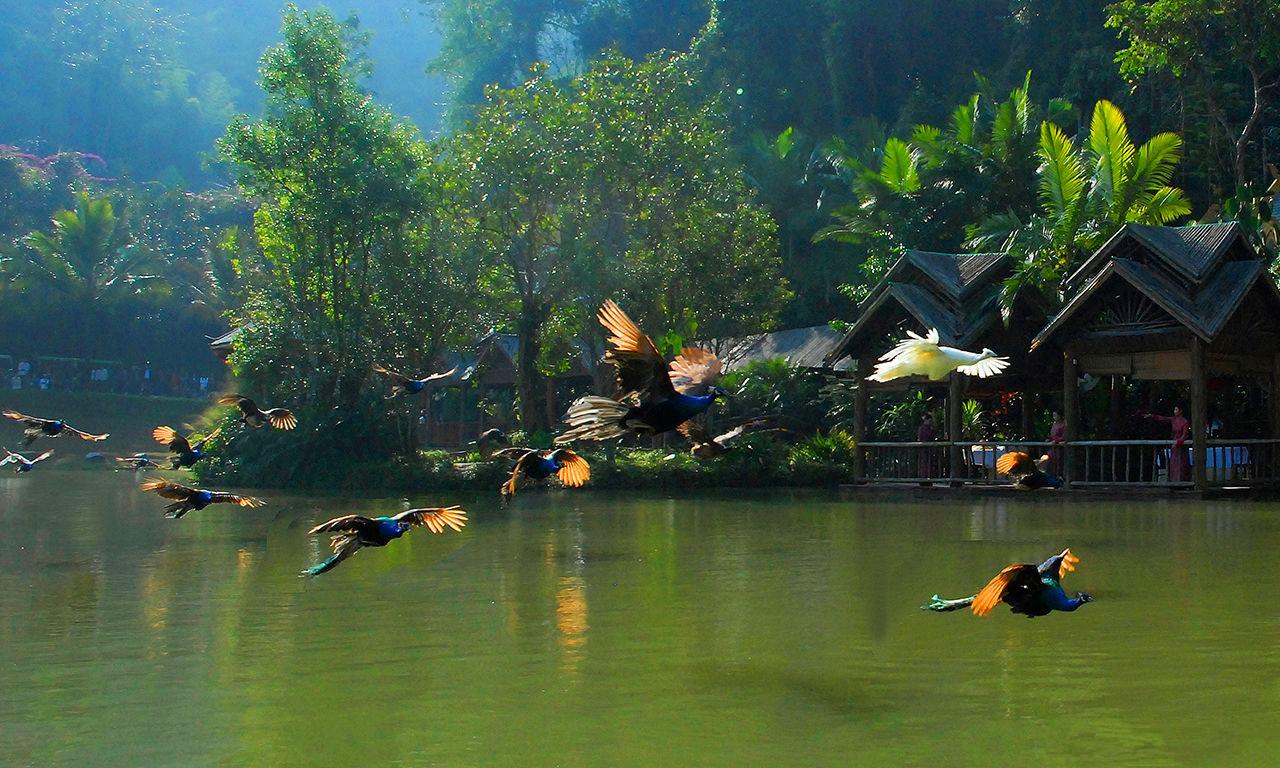 带你去看云南的西双版纳,云南到底有多滇