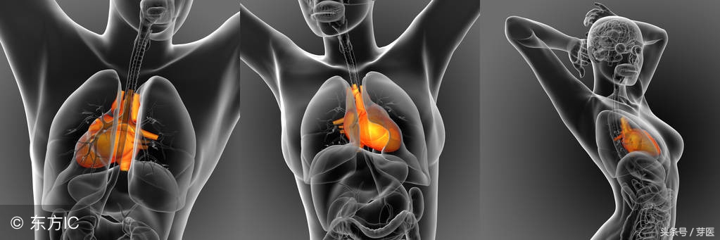 冠心病危险指数2.88严重吗,冠心病危险指数2.87严重吗