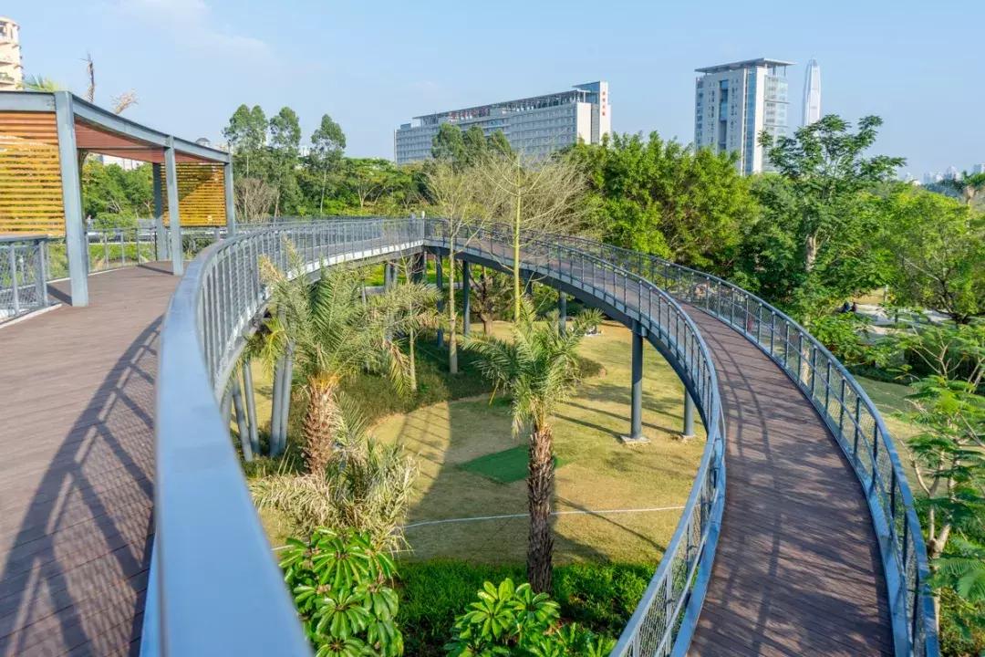 深圳福田结婚登记处环境,深圳最美结婚登记处