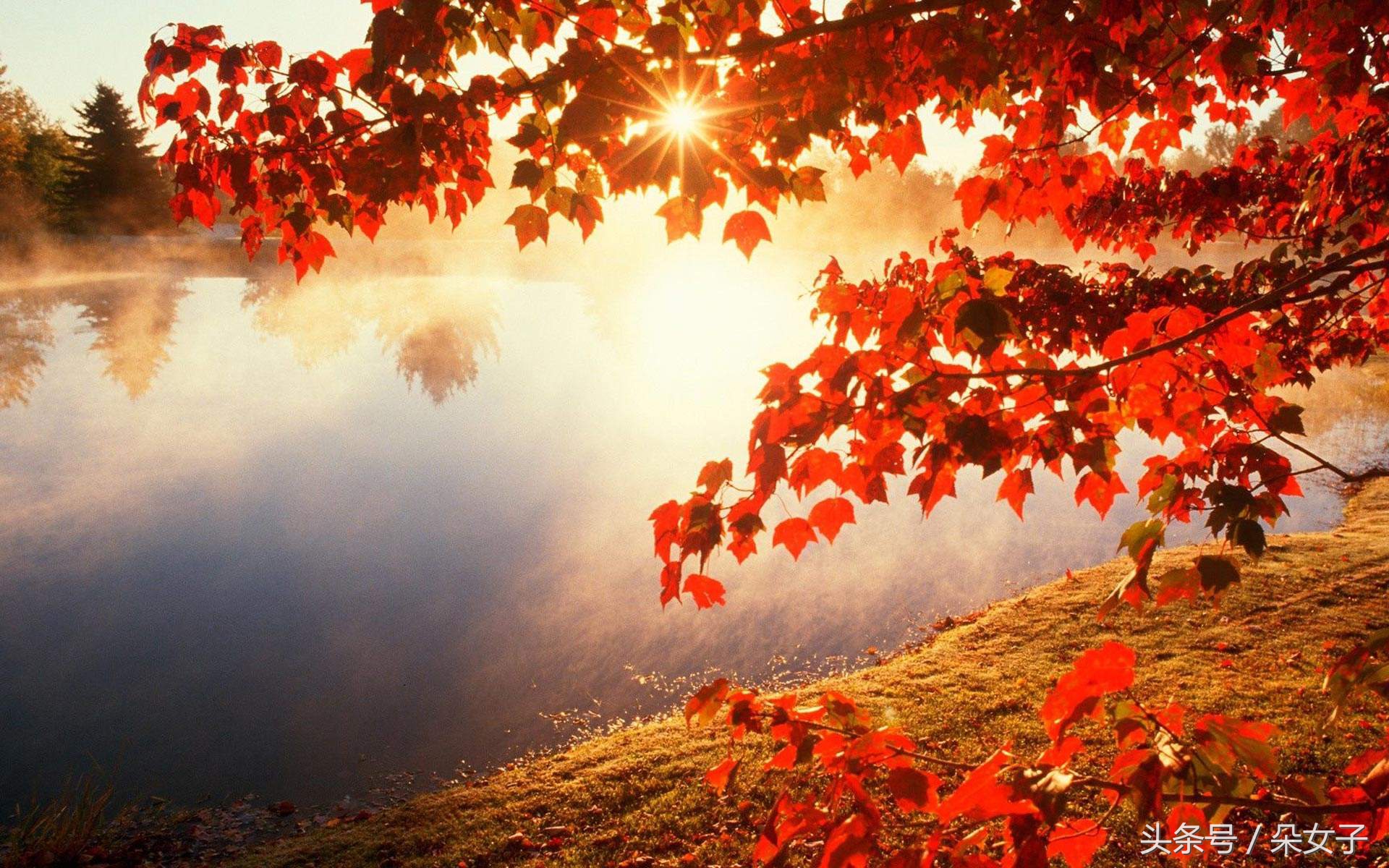 史铁生秋天的怀念结尾戛然而止,史铁生秋天的怀念是什么时候学的