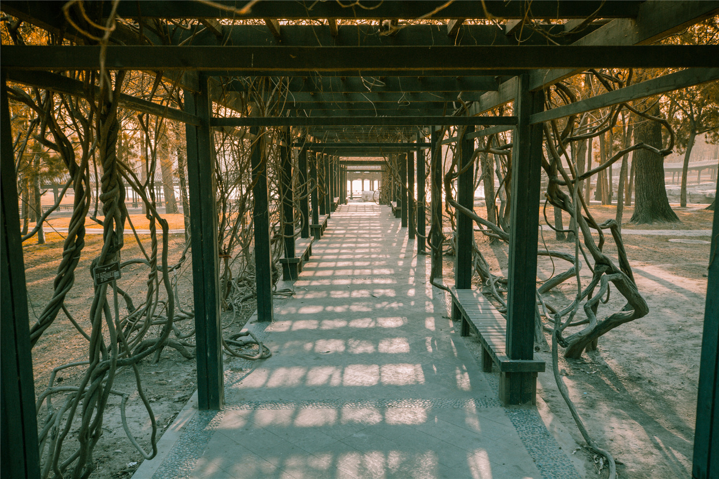 驾比速T5，冬日太原暖心游