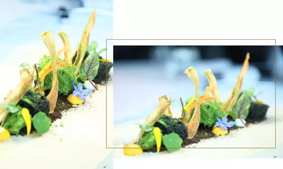 在艺术馆里吃饭是一种怎样的体验,在美术馆里面吃料理