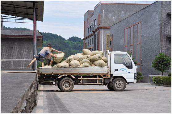 珍酒的来历,珍酒的来历简介