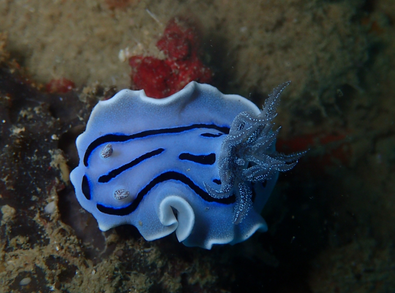 菲律宾科隆群岛游,菲律宾巴拉望科隆群岛自由行