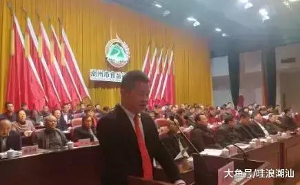 庵埠最有实力的厂家,庵埠优质企业