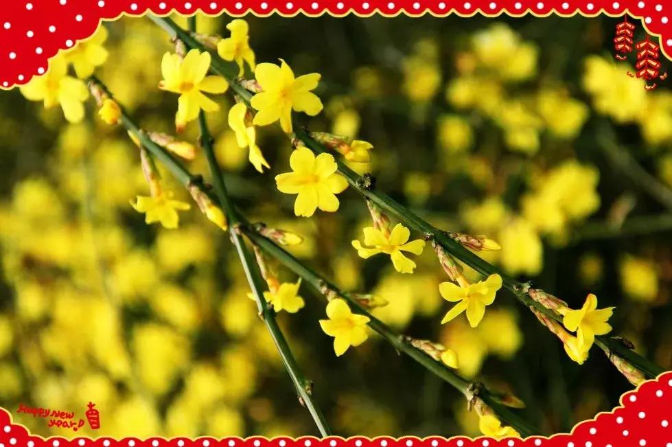 祝大家小年快乐万事如意健康平安,祝大家小年快乐开开心心幸福美满