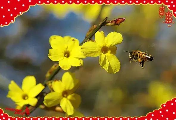 祝大家小年快乐万事如意健康平安,祝大家小年快乐开开心心幸福美满