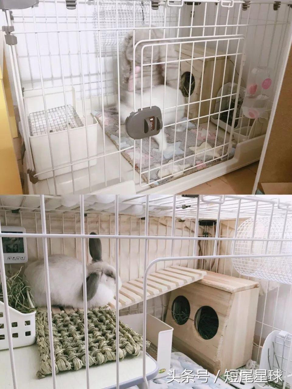 兔兔需要买多大的兔笼,兔兔的专用兔笼