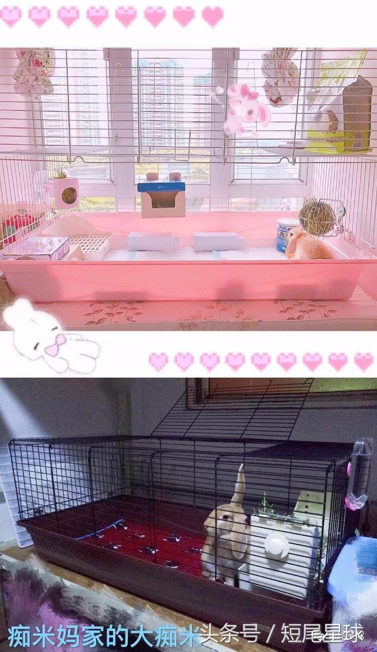 兔兔需要买多大的兔笼,兔兔的专用兔笼