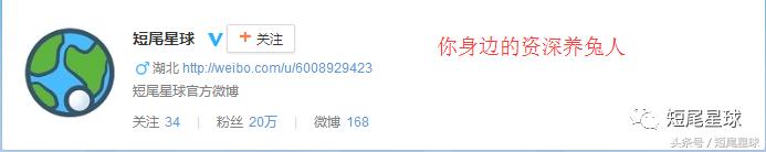 兔兔需要买多大的兔笼,兔兔的专用兔笼