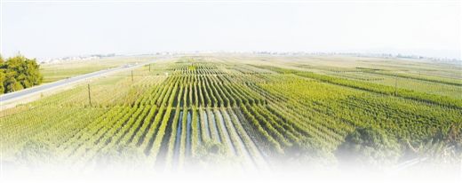 从”日本马桶”谈”连锁之标准化数据化管理”