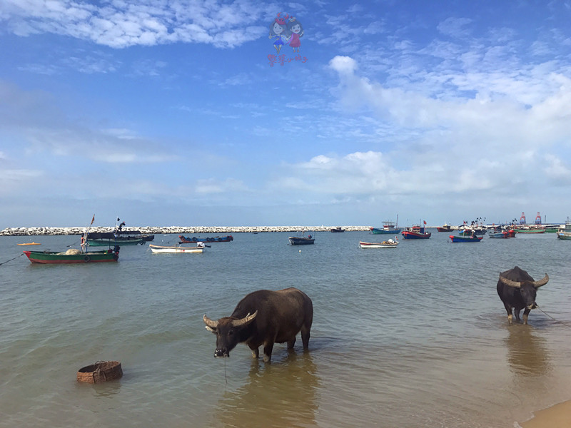 看我国仅次于死海和红海的最咸海区！吃比广东还好吃的烤乳猪！