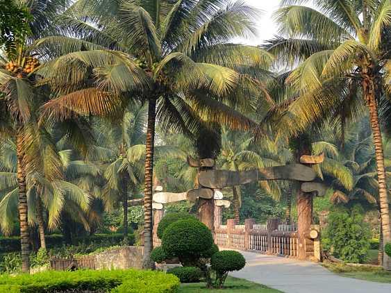 带你去看云南的西双版纳,云南到底有多滇