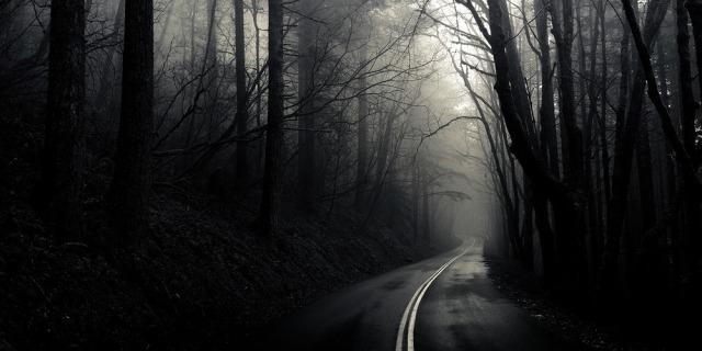 二年级在野外迷路了怎么辨别方向,野外迷路后我们通过什么辨别方向