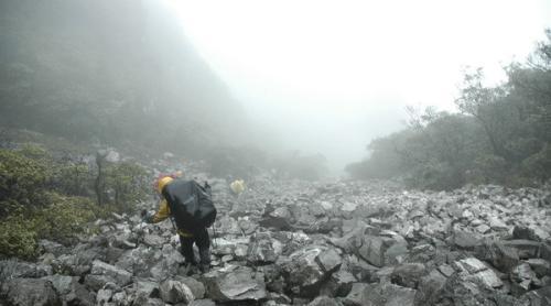 二年级在野外迷路了怎么辨别方向,野外迷路后我们通过什么辨别方向