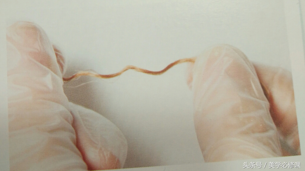 烫发课程一般教什么,烫发练习标准流程