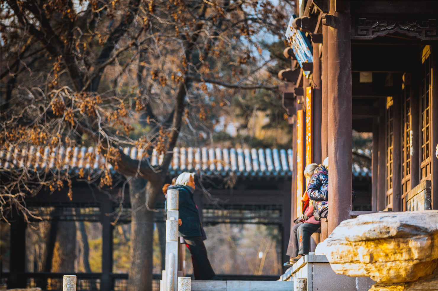 驾比速T5，冬日太原暖心游