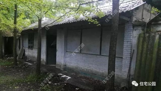 农村房子翻新改造徽派四合院,破旧老四合院改造出来让人惊艳