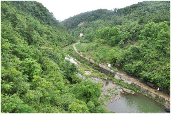 珍酒的来历,珍酒的来历简介