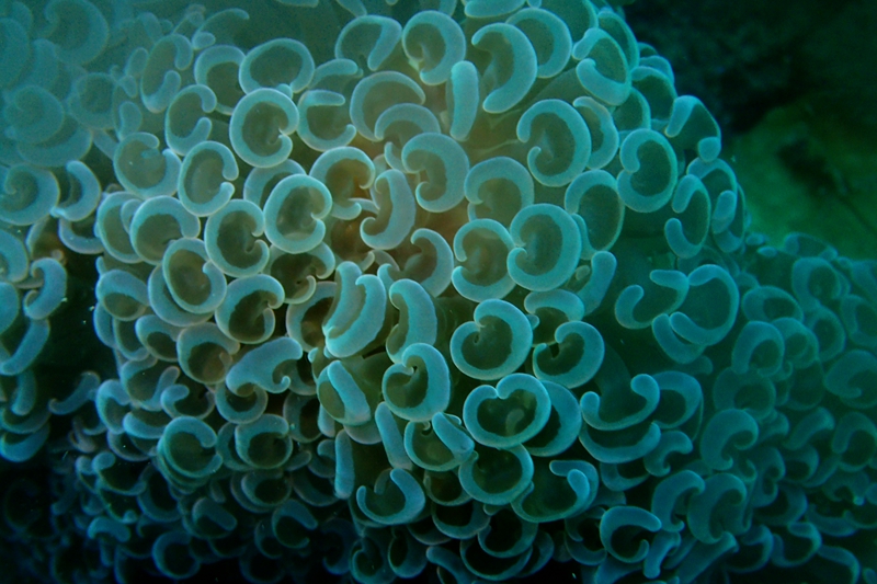 菲律宾科隆群岛游,菲律宾巴拉望科隆群岛自由行