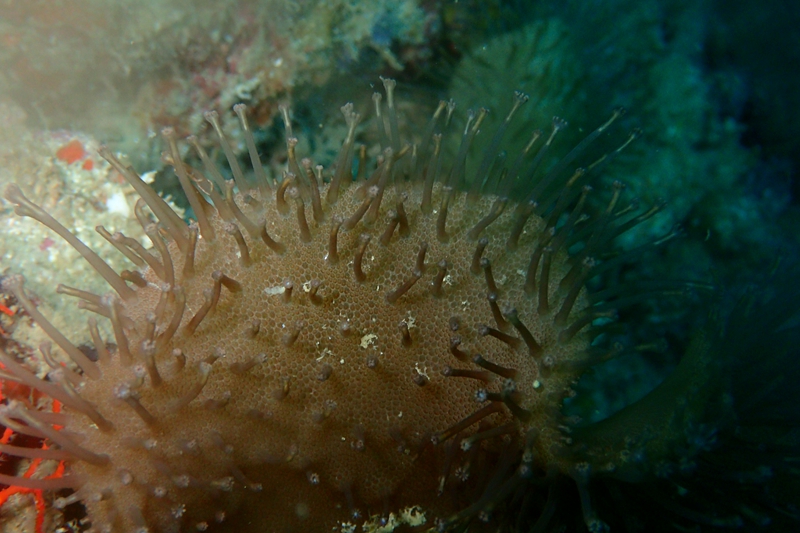 菲律宾科隆群岛游,菲律宾巴拉望科隆群岛自由行