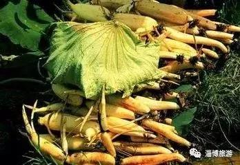 山东淄博特产便于携带送礼,淄博带回家的礼物