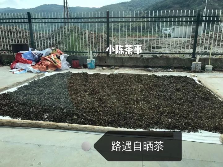 无论到哪里喝茶不能将就,喝茶的人不肯将就