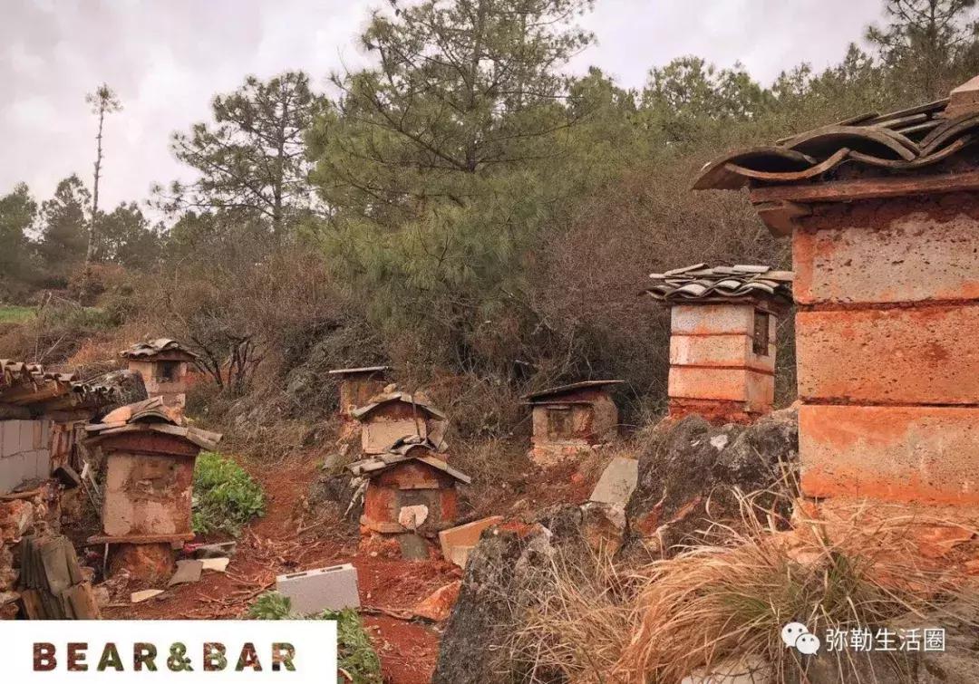 弥勒最好吃的清真餐馆炒菜,弥勒好的菜馆