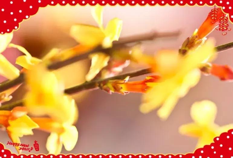 祝大家小年快乐万事如意健康平安,祝大家小年快乐开开心心幸福美满