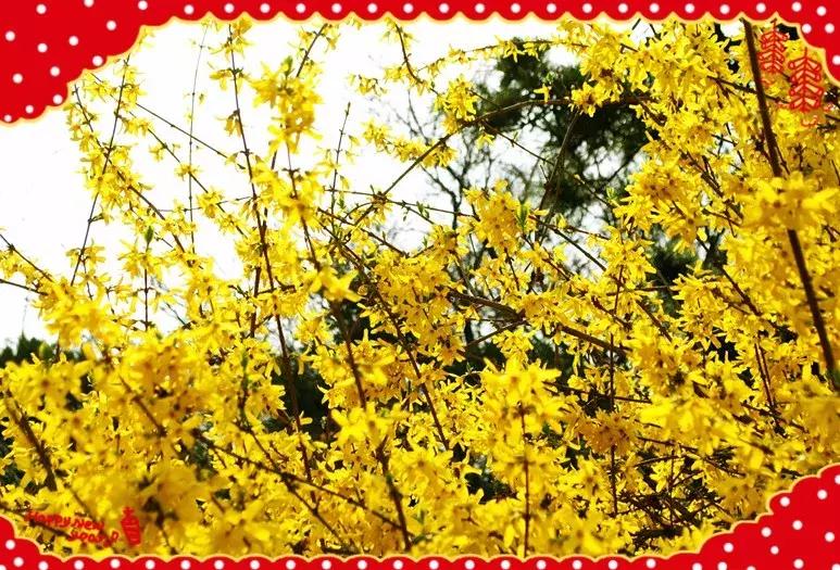 祝大家小年快乐万事如意健康平安,祝大家小年快乐开开心心幸福美满