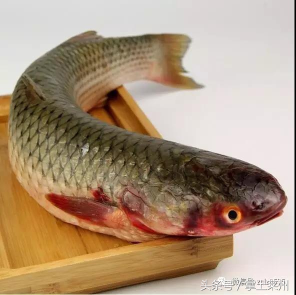 莱州三山岛有什么鱼,莱州三山岛渔港的鱼