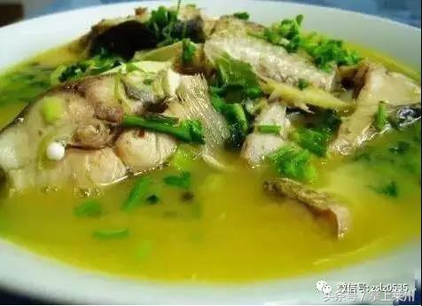 莱州三山岛有什么鱼,莱州三山岛渔港的鱼