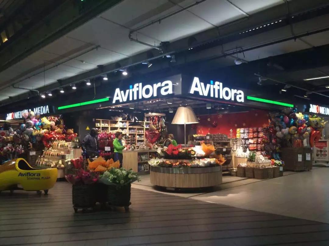 最新国内免税店购物攻略,全球十大免税店必买清单