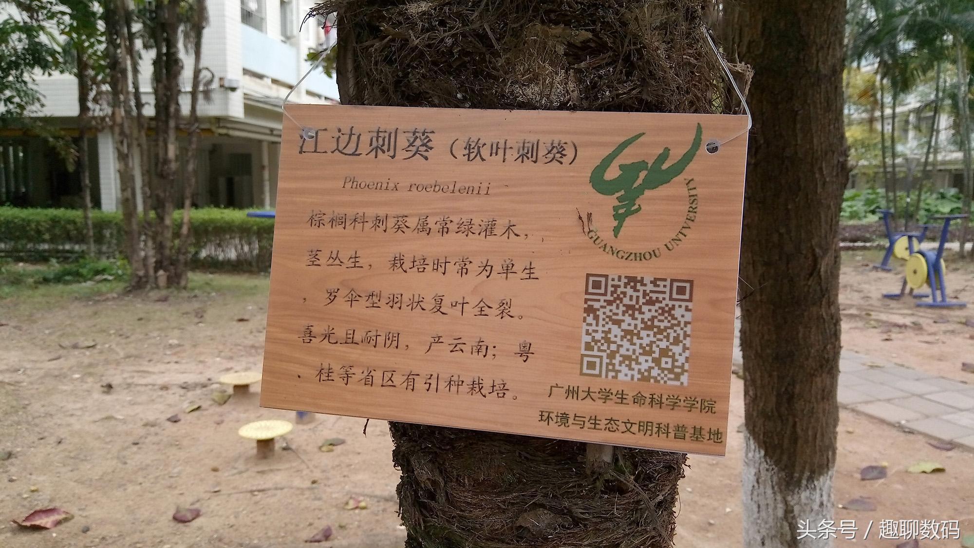 魅族5性能测评,魅族手机性价比5g推荐