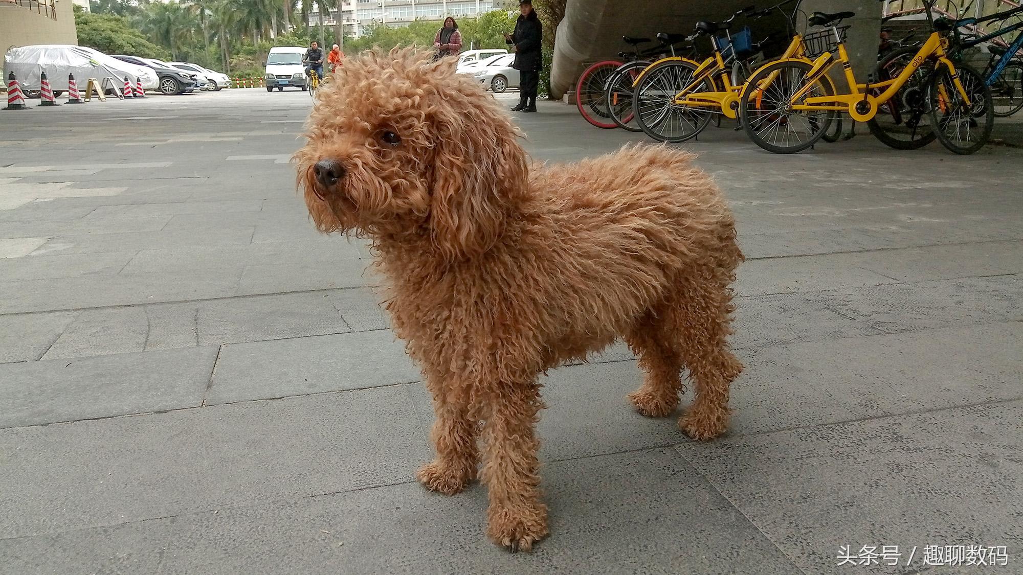 魅族5性能测评,魅族手机性价比5g推荐