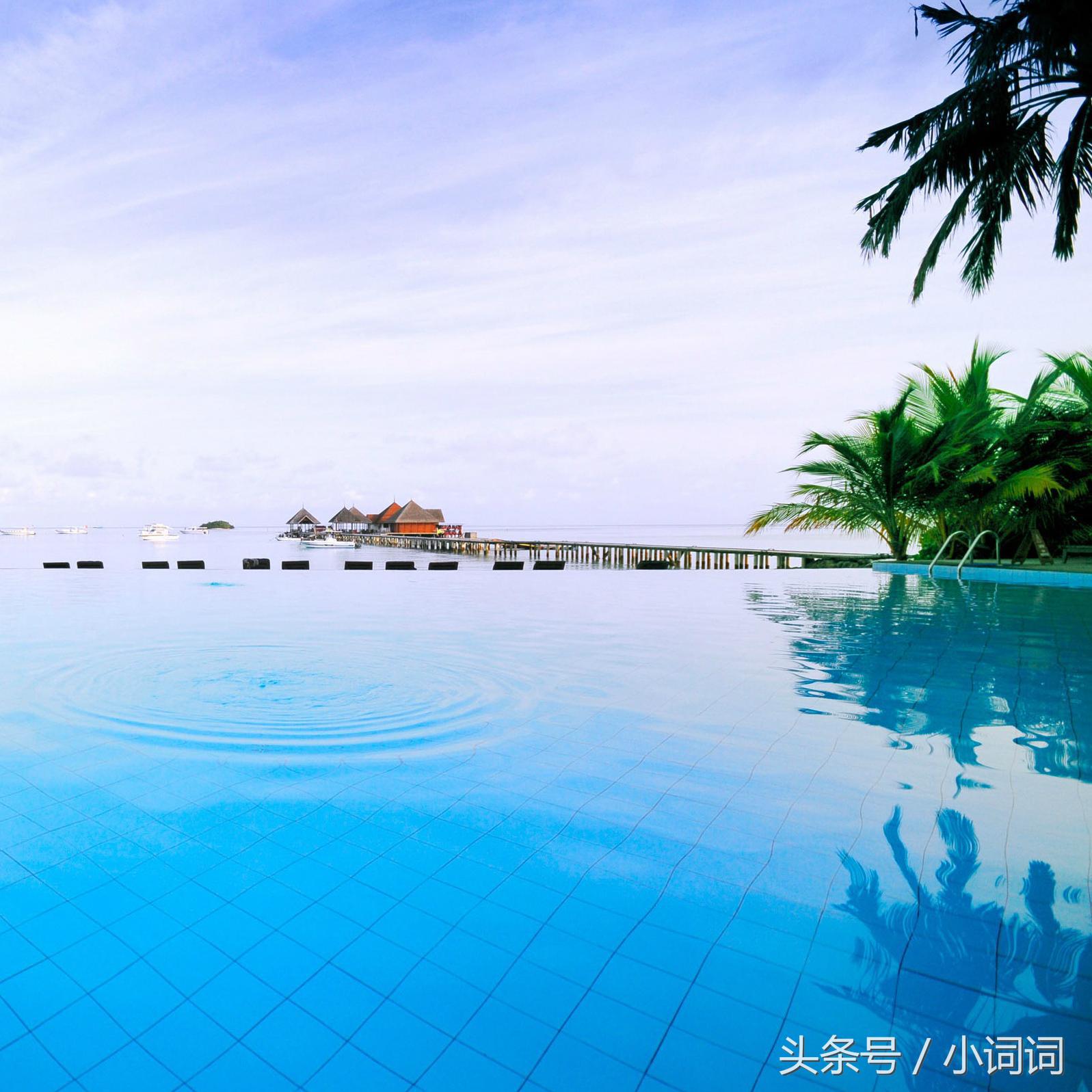 明星的婚礼都在哪里举行,明星中最浪漫的婚礼