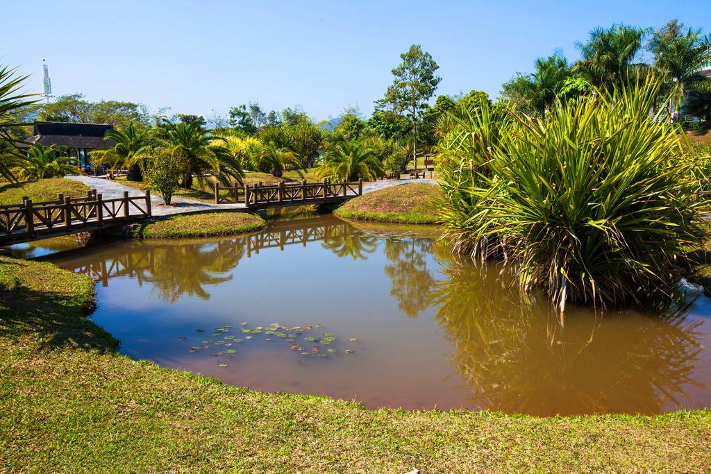 带你去看云南的西双版纳,云南到底有多滇