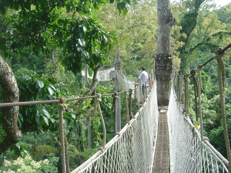 带你去看云南的西双版纳,云南到底有多滇